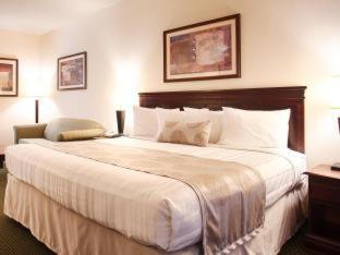 Best Western Jacksonville Inn Værelse billede